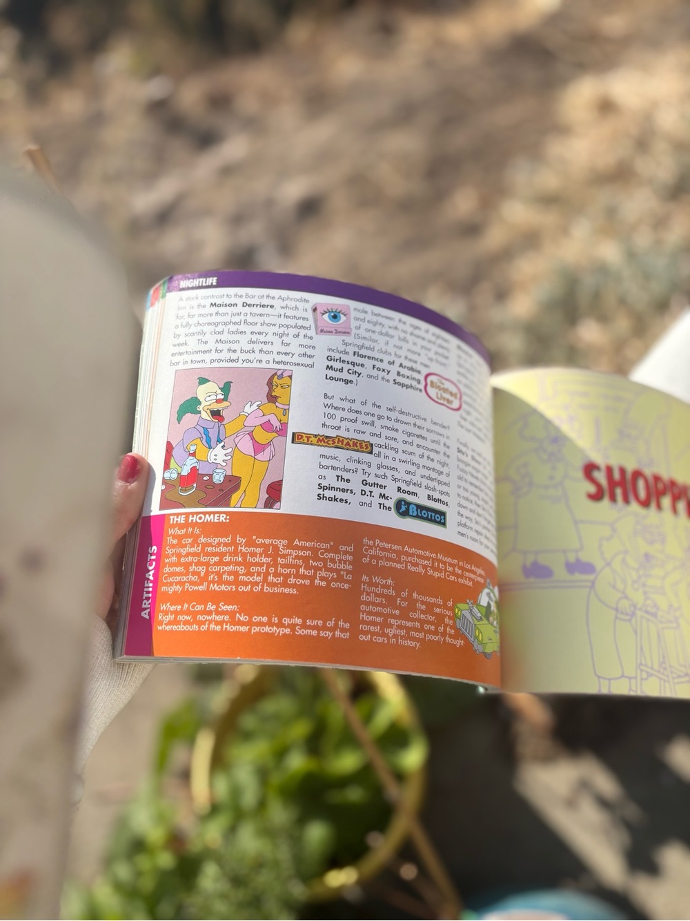 Springfield The Simpsons. Book - Picture 3 of 8